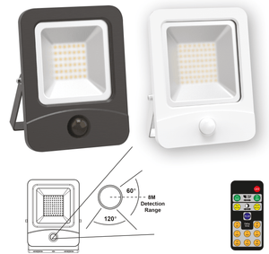 Remote Control PIR LED 10W Floodlight IP65